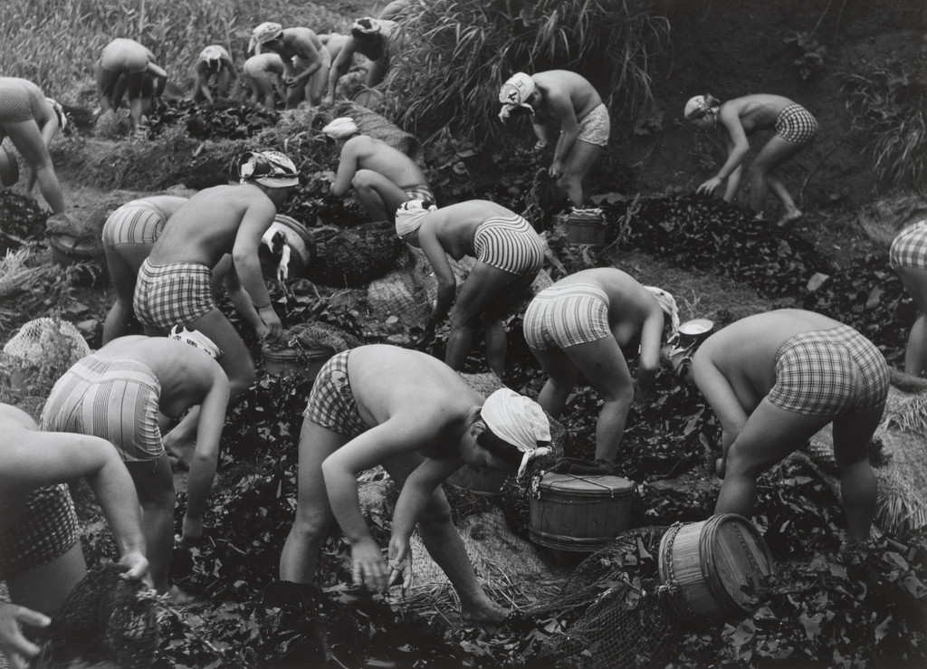 Untitled (Ama Divers)