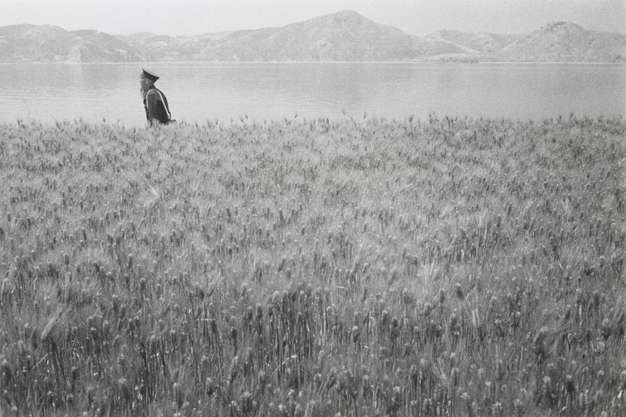 Yoshinobu Nakamura (中村 由信). Postman of an Island. 1960 | MoMA