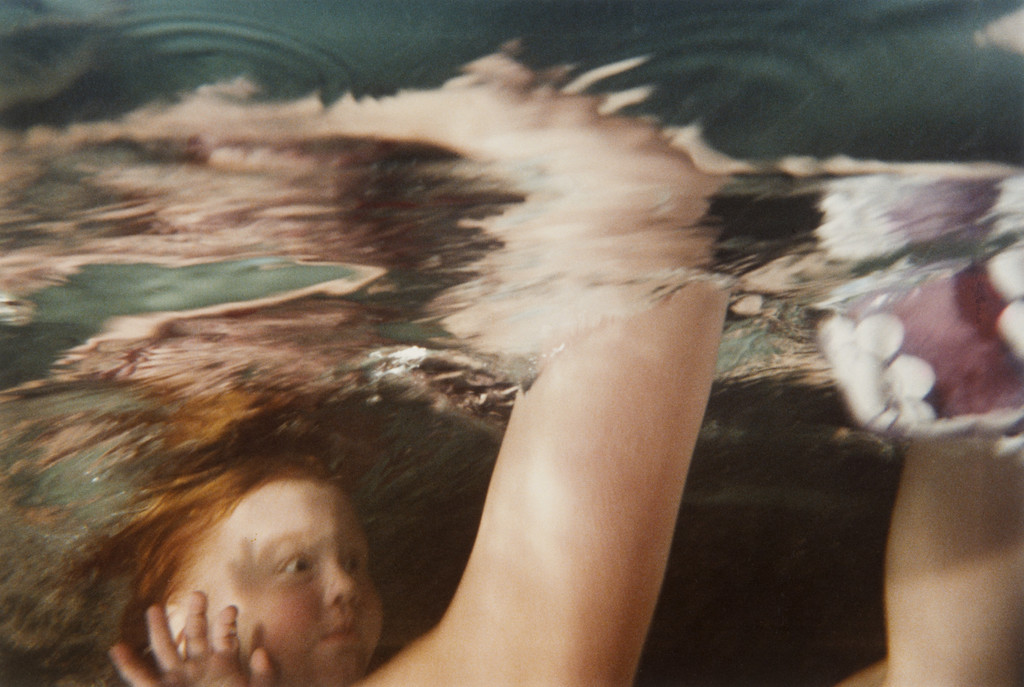 Untitled, Larry Sultan, 1979