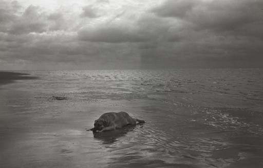Melancholia