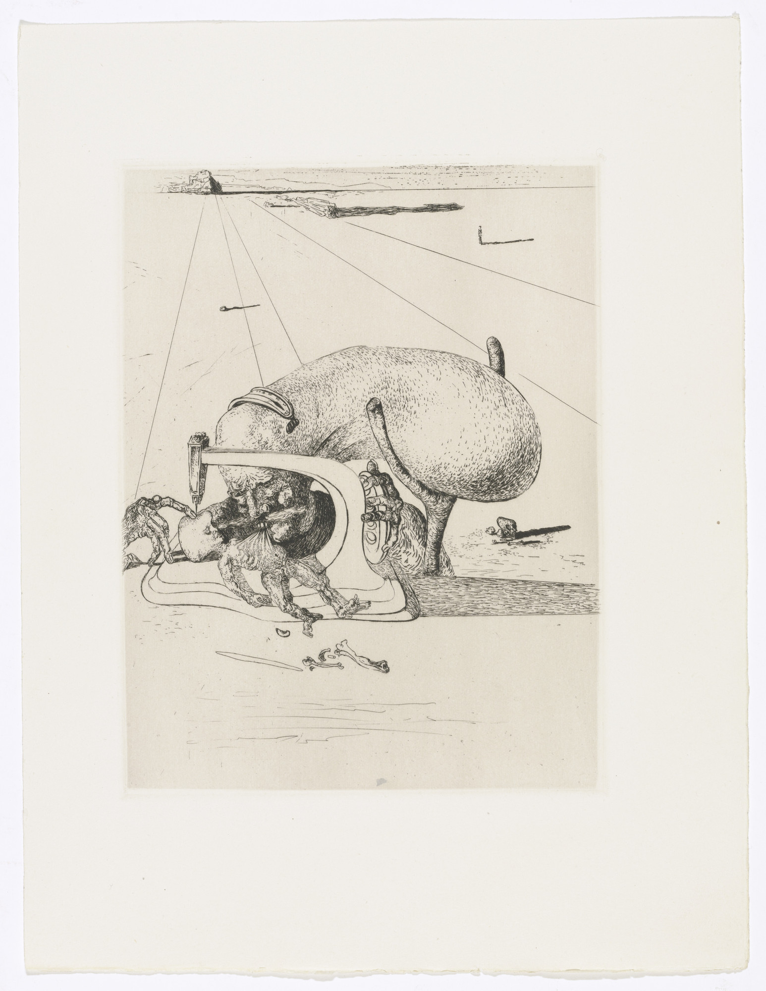 Salvador Dalí. Plate (facing page 92) from Les Chants de Maldoror (The Songs of Maldoror)