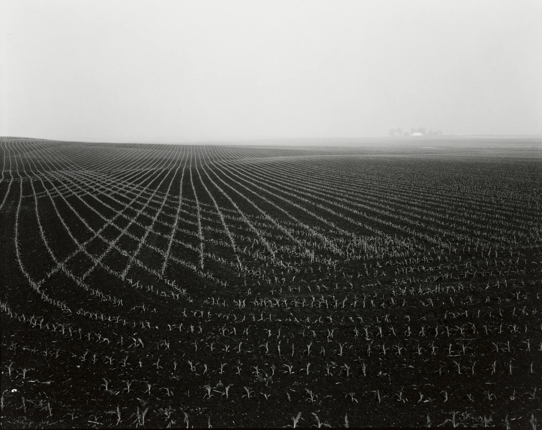 Rhondal McKinney. Untitled. June 1980