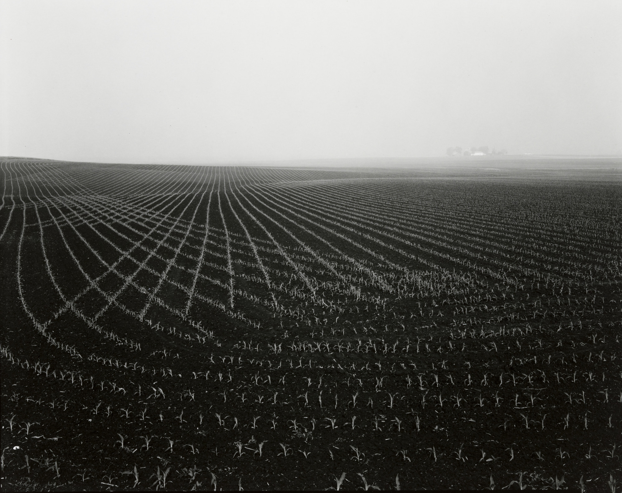 Rhondal McKinney. Untitled
