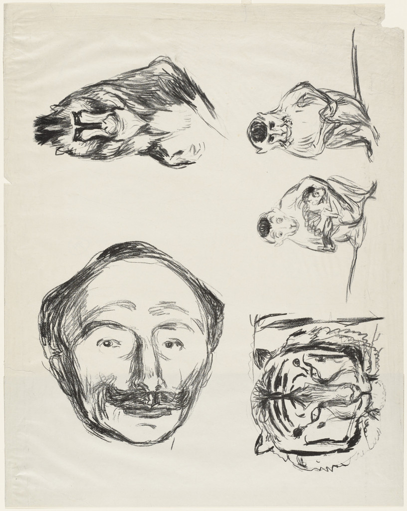 Four Studies (Portrait of Goldstein, Gorilla, Family of Monkeys and Tiger's Head)