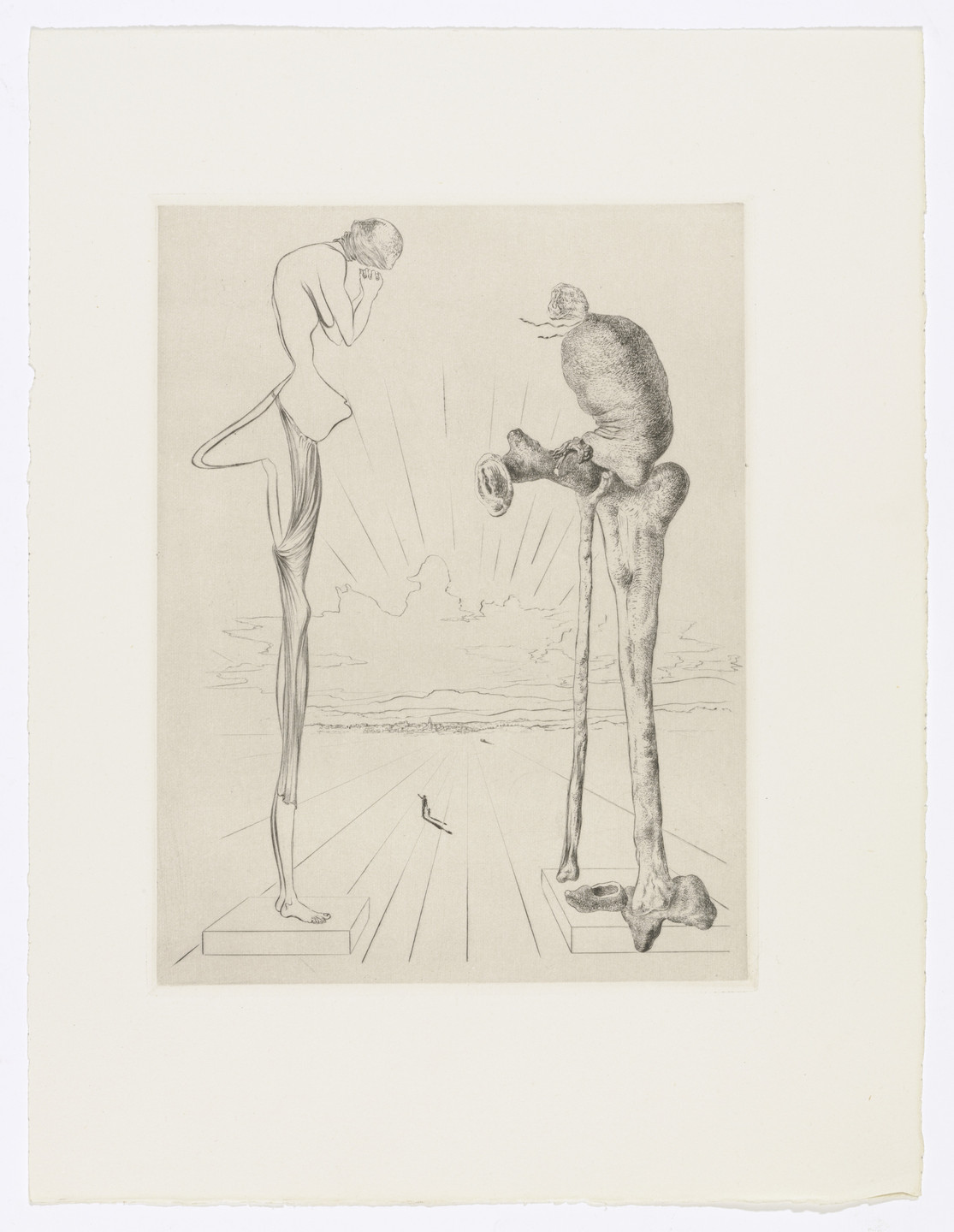 Salvador Dalí. Plate (facing page 96) from Les Chants de Maldoror (The Songs of Maldoror). 1934