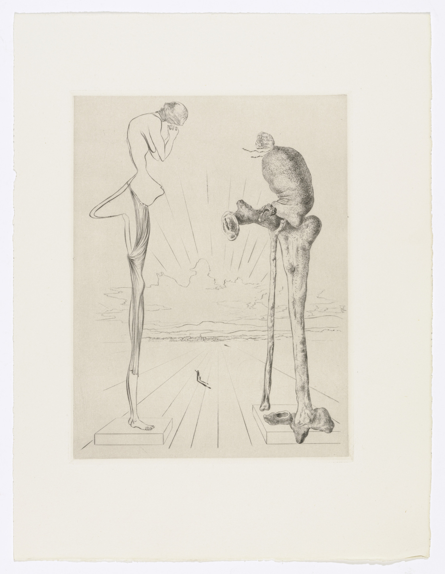 Salvador Dalí. Plate (facing page 96) from Les Chants de Maldoror (The Songs of Maldoror)
