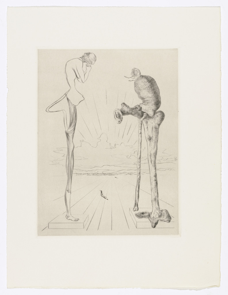 Plate (facing page 96) from Les Chants de Maldoror (The Songs of Maldoror)