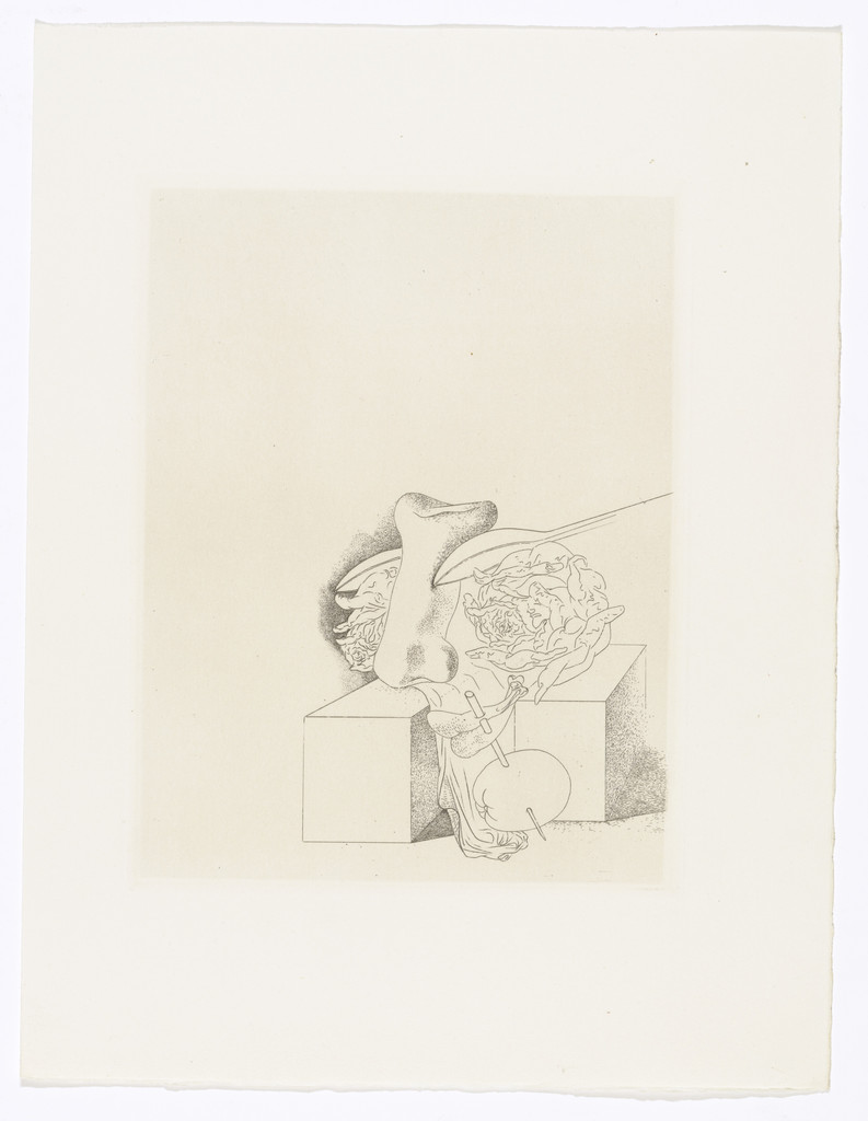 Plate (facing page 138) from Les Chants de Maldoror (The Songs of Maldoror) by Salvador Dalí