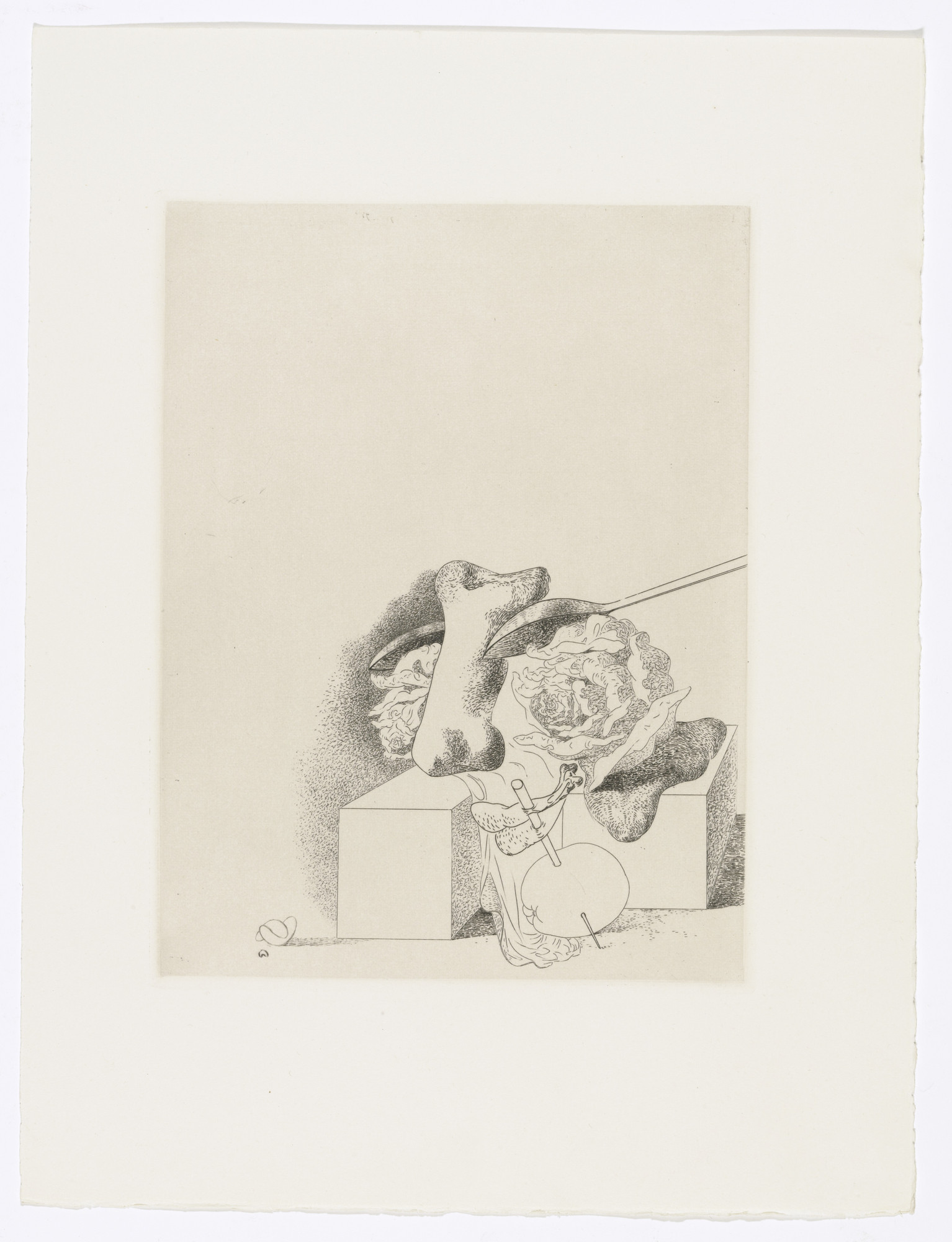 Salvador Dalí. Plate (facing page 146) from Les Chants de Maldoror (The Songs of Maldoror)