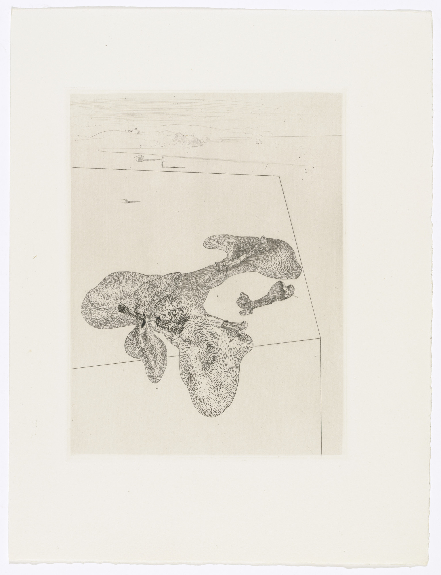 Salvador Dalí. Plate (facing page 152) from Les Chants de Maldoror (The Songs of Maldoror)