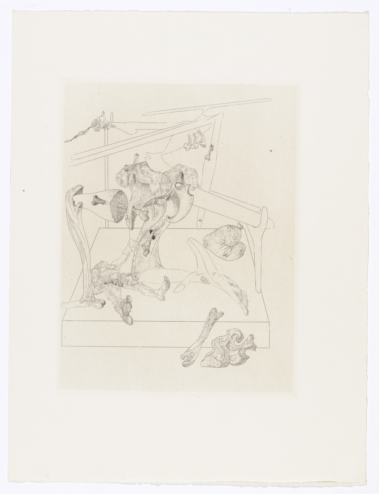 Salvador Dalí. Plate (facing page 184) from Les Chants de Maldoror (The Songs of Maldoror)