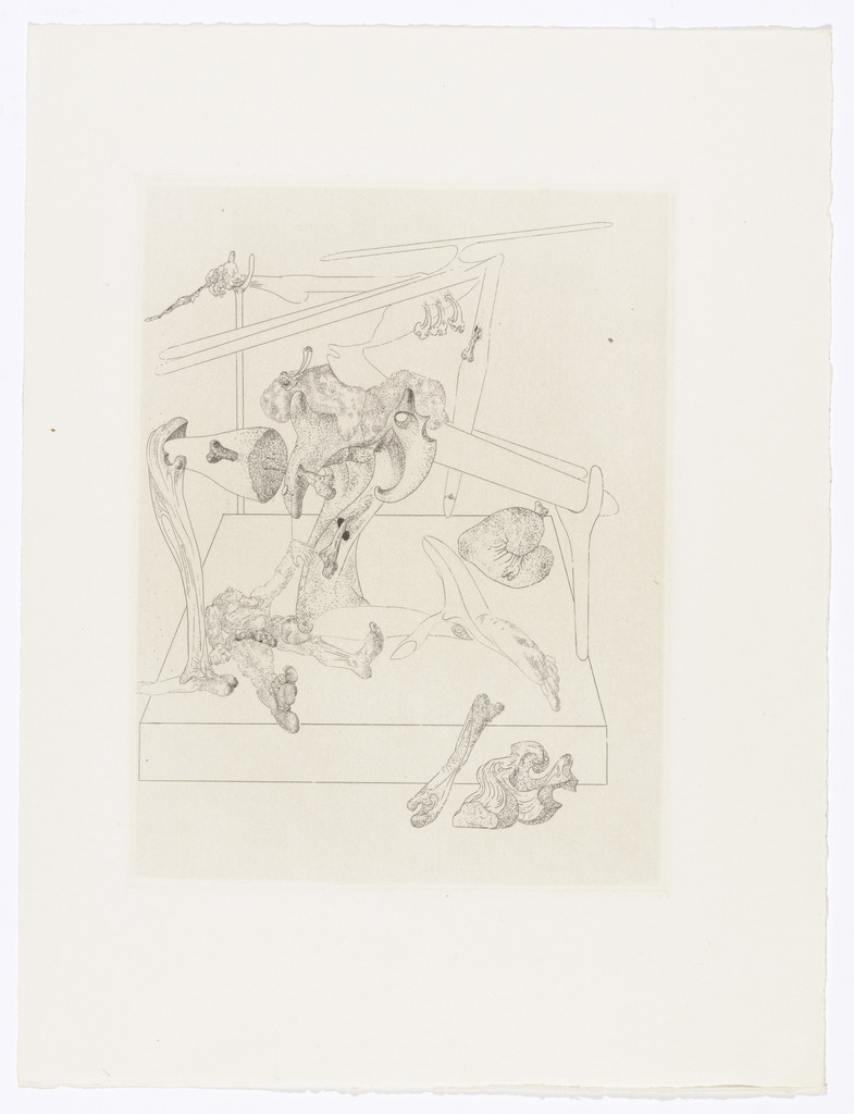 Plate (facing page 184) from Les Chants de Maldoror (The Songs of Maldoror) by Salvador Dalí