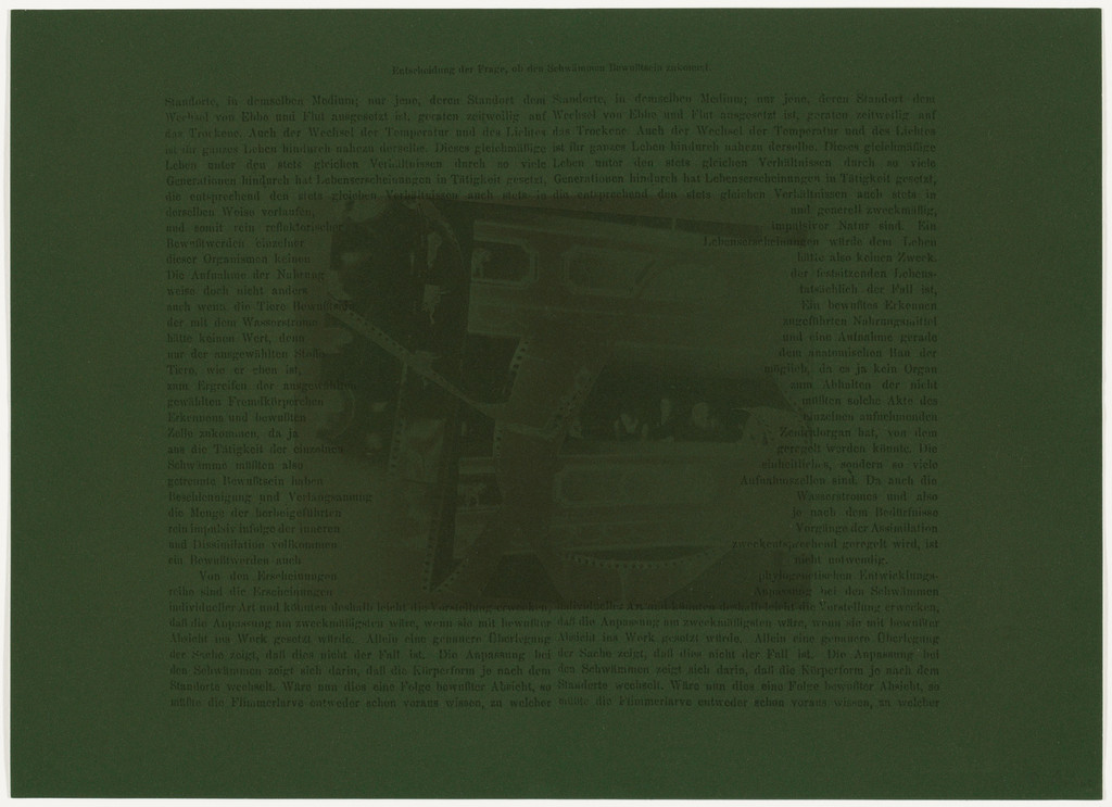 At The Opera (Answer to the Question Whether Sponges Possess Consciousness) (In der Oper (Entscheidung der Frage, ob den Schwämmen Bewußtsein zukommt))