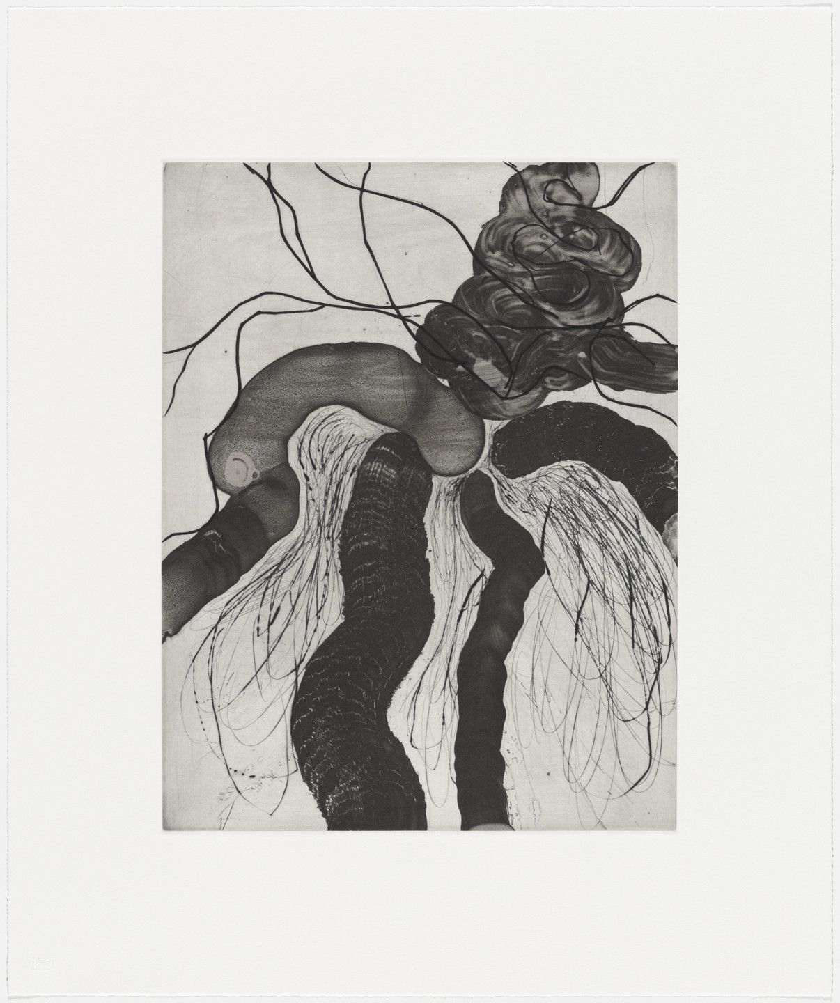 Bill Jensen. The Monkey's Rain Coat. 2010