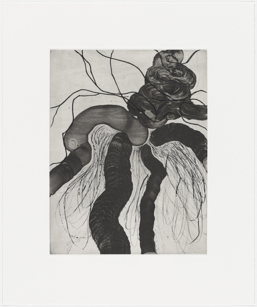 The Monkey's Rain Coat