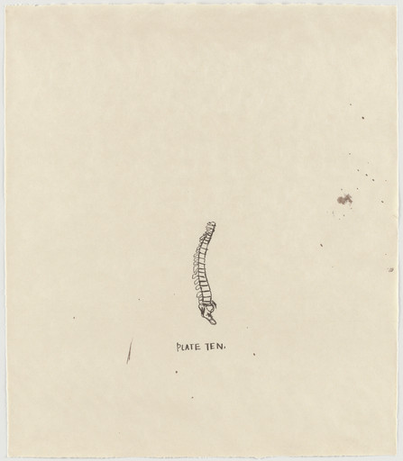 Untitled, From Leonardo