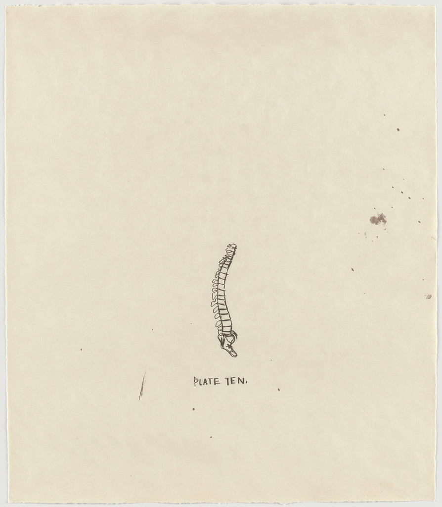 Untitled, From Leonardo