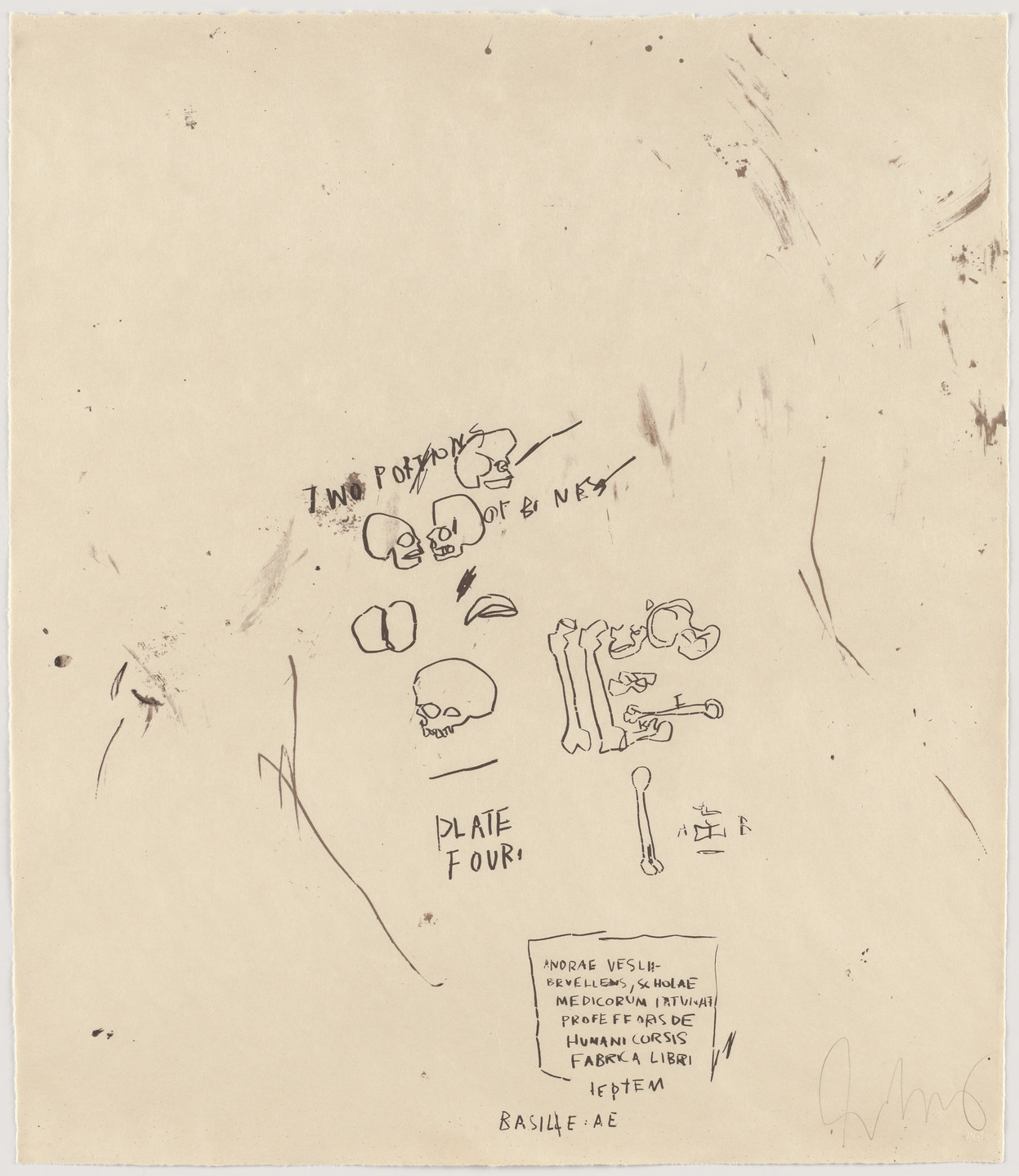 Jean-Michel Basquiat. Untitled, From Leonardo. 1983