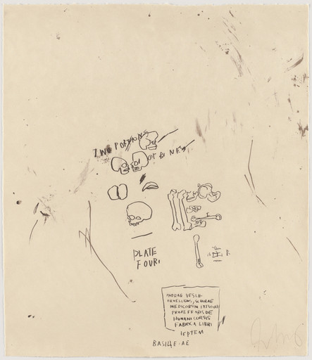 Untitled, From Leonardo