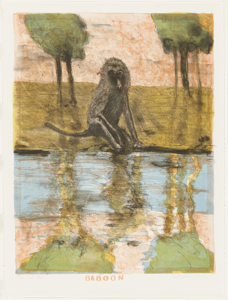 Baboon