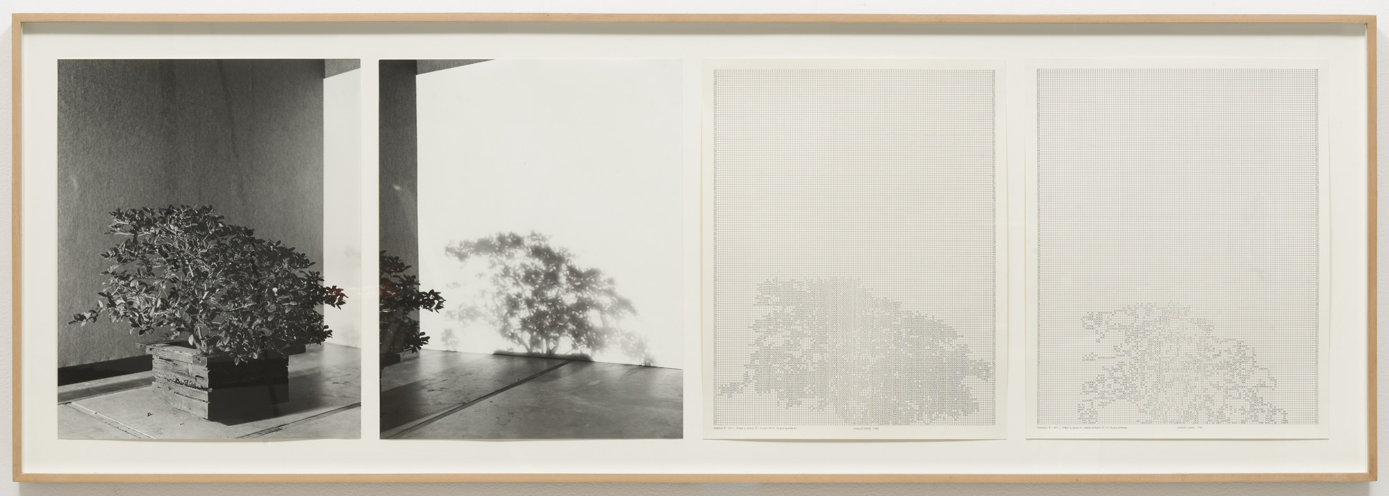 Charles Gaines. Shadows V, Set 1. 1980