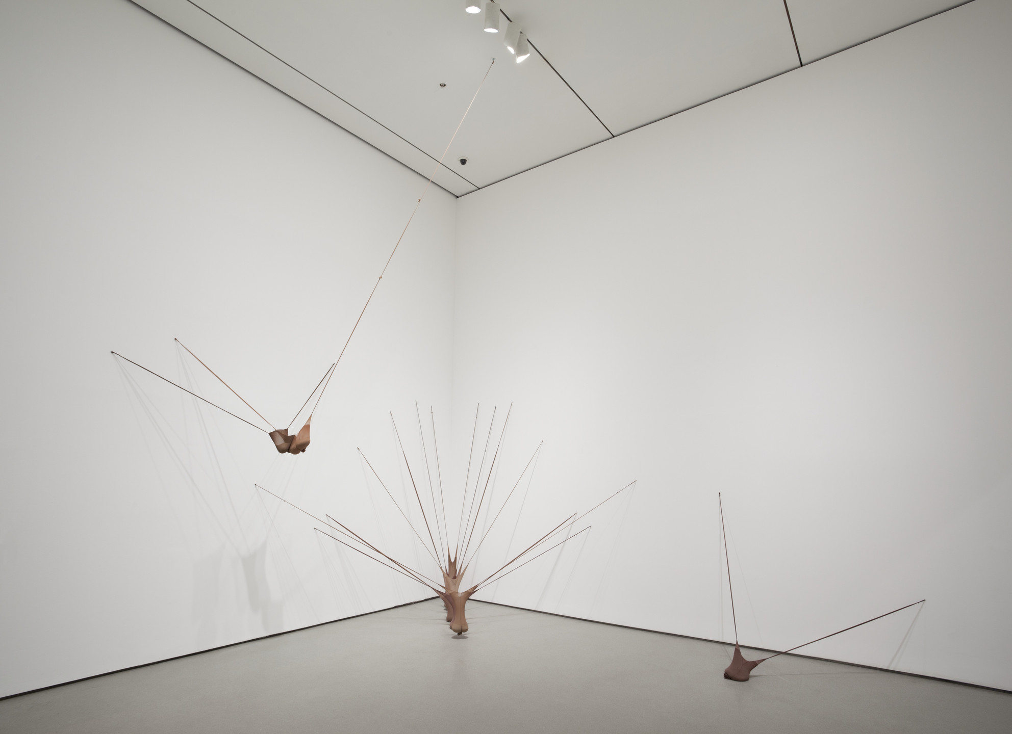 Three brown, irregularly-shaped sculptures stretch from the walls and floor of a white room, connected by thin wires. Ceiling lights cast subtle shadows on the walls and floor. This is an AI generated description. To give feedback, email ai@moma.org.