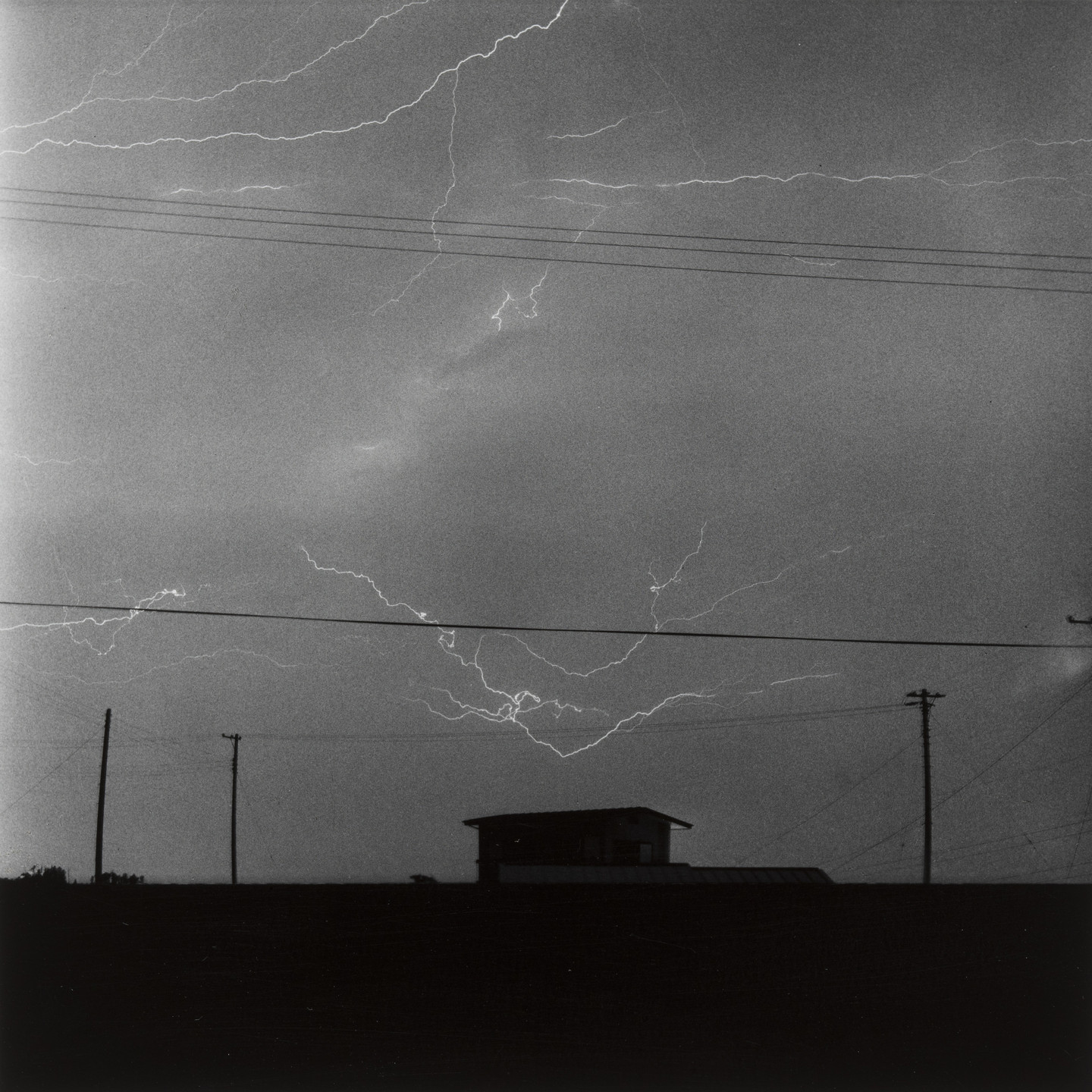 Shigeru Tamura. June 19, 1968. 1968