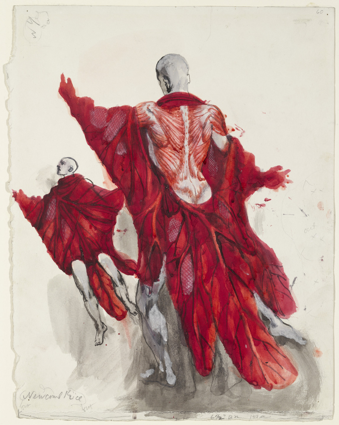 Pavel Tchelitchew. The Muscle System. Costume design for the ballet The Cave of Sleep. 1941