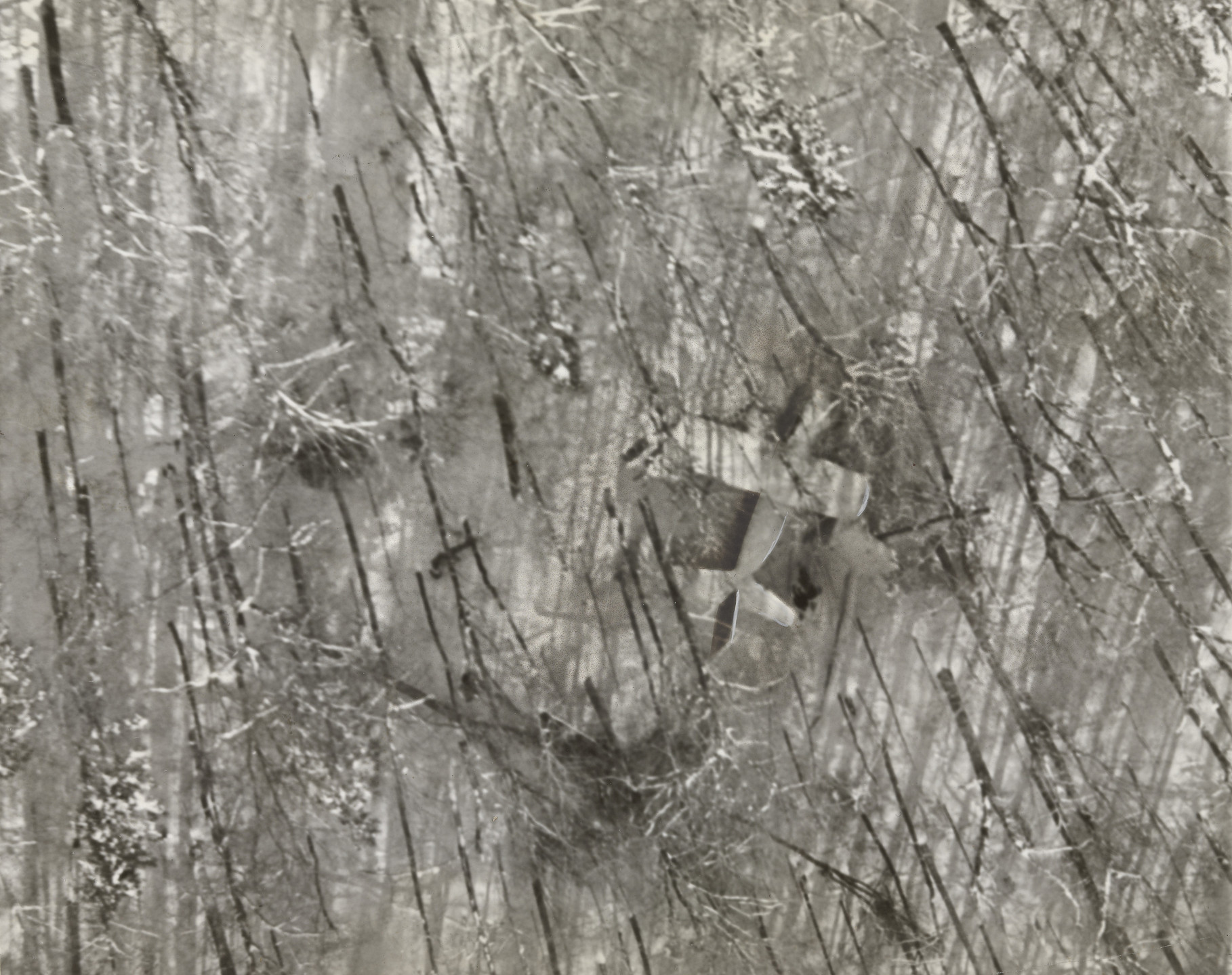 Associated Press. &#34;An Unhappy Landing High on a Mountain Side in the Snow-Blanketed Adirondacks&#34;. December 31, 1934