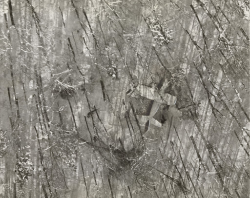 "An Unhappy Landing High on a Mountain Side in the Snow-Blanketed Adirondacks"