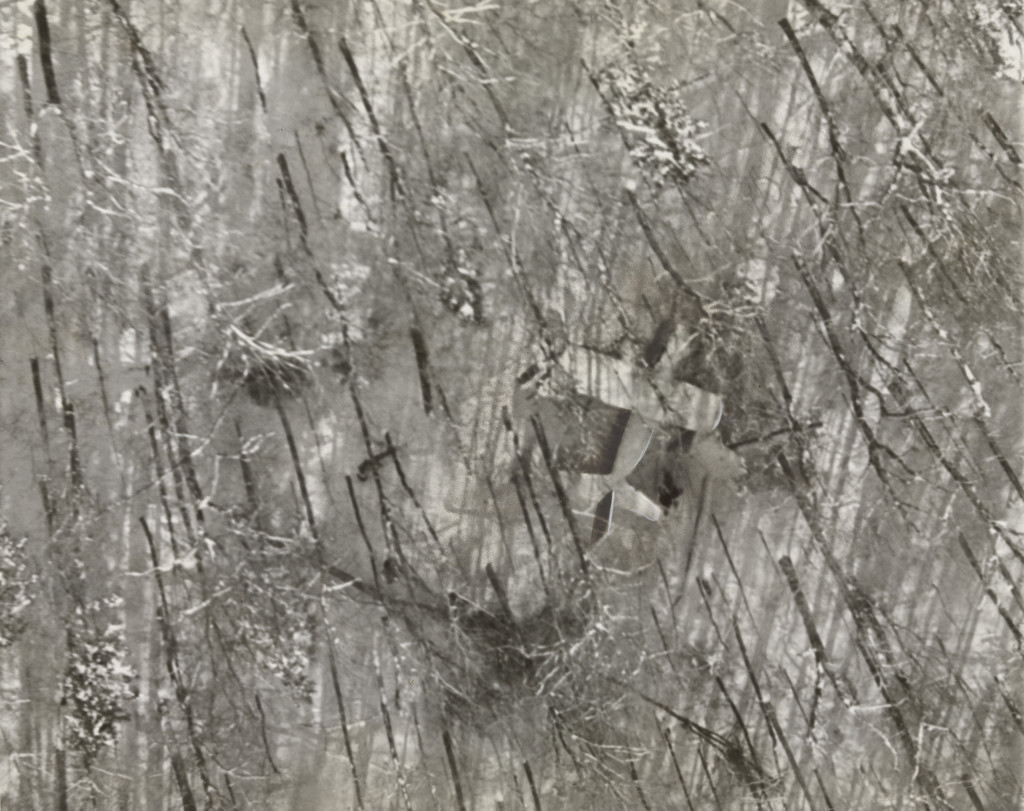 "An Unhappy Landing High on a Mountain Side in the Snow-Blanketed Adirondacks"