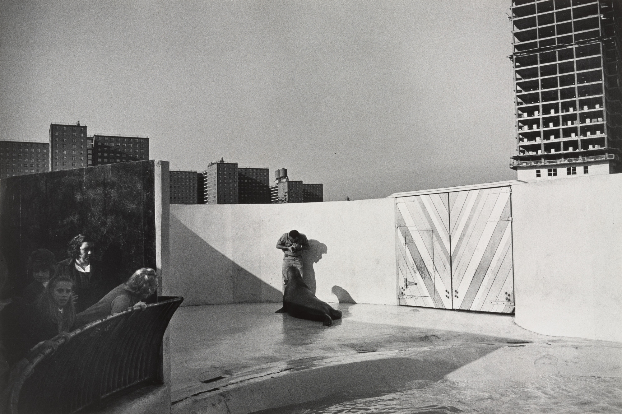 Garry Winogrand. New York Aquarium, Coney Island. 1963 | MoMA