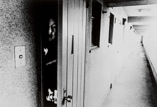 Stray Dog, Misawa | MoMA