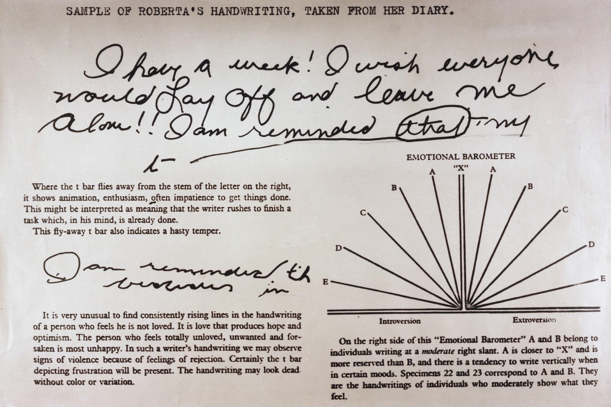 Lynn Hershman Leeson. Roberta's Handwriting Chart. 1976