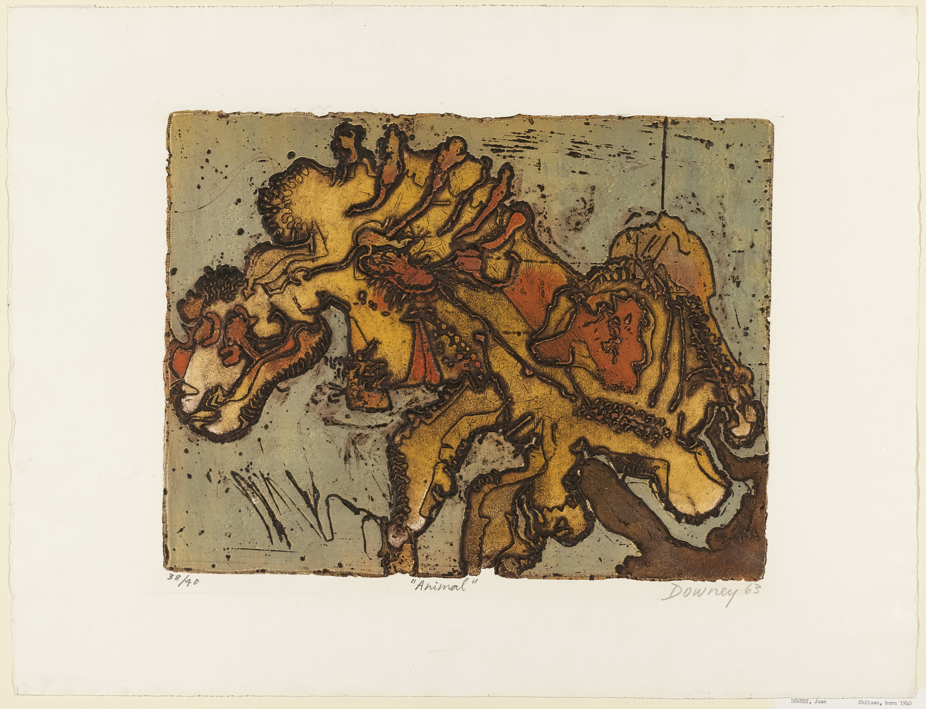 Juan Downey. Animal. 1963
