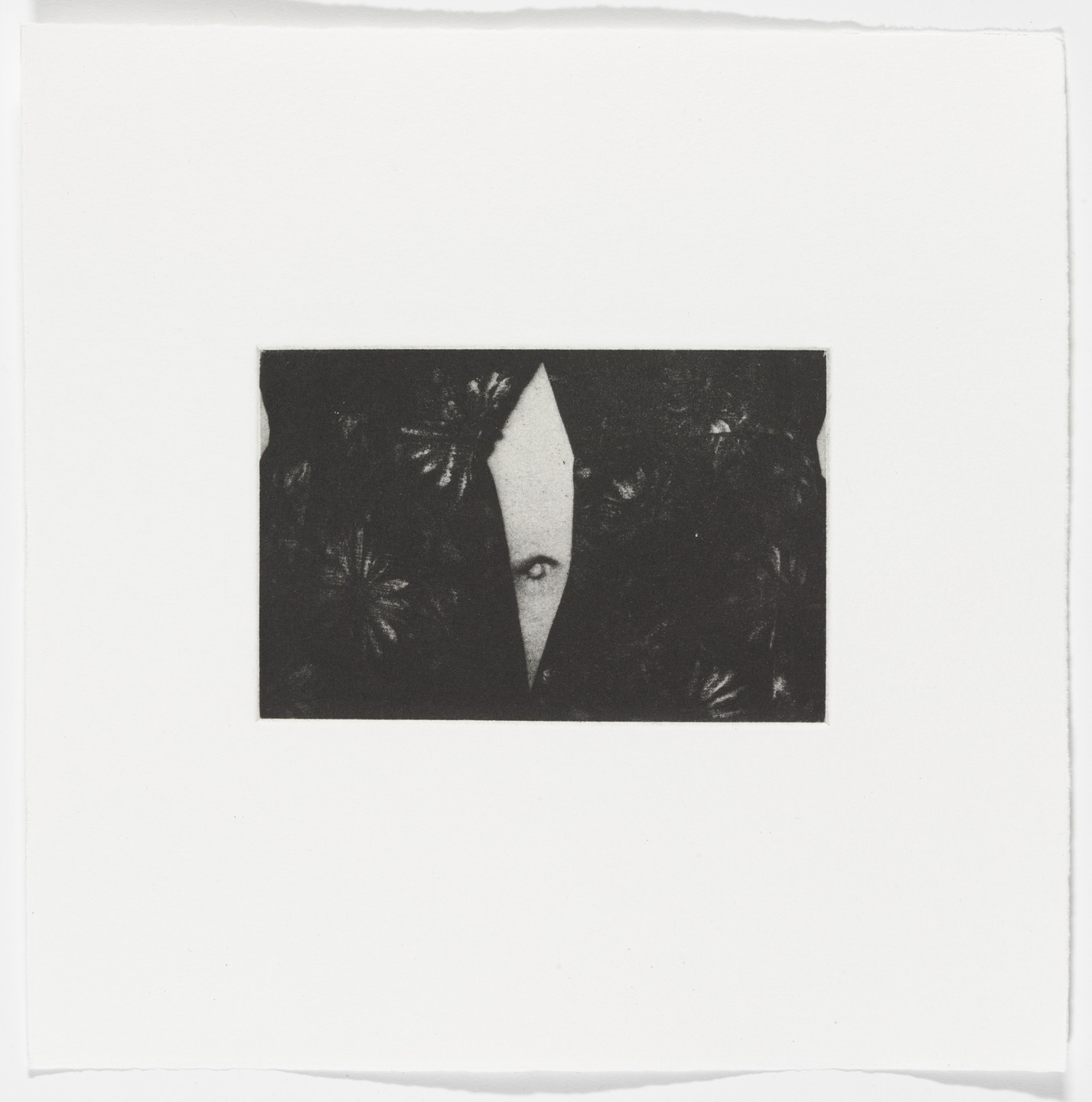 Lynne Yamamoto. Untitled from Eyes, Dark. 1999