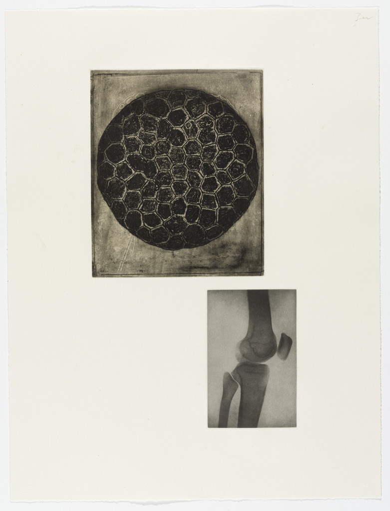 Fourteen Etchings 13