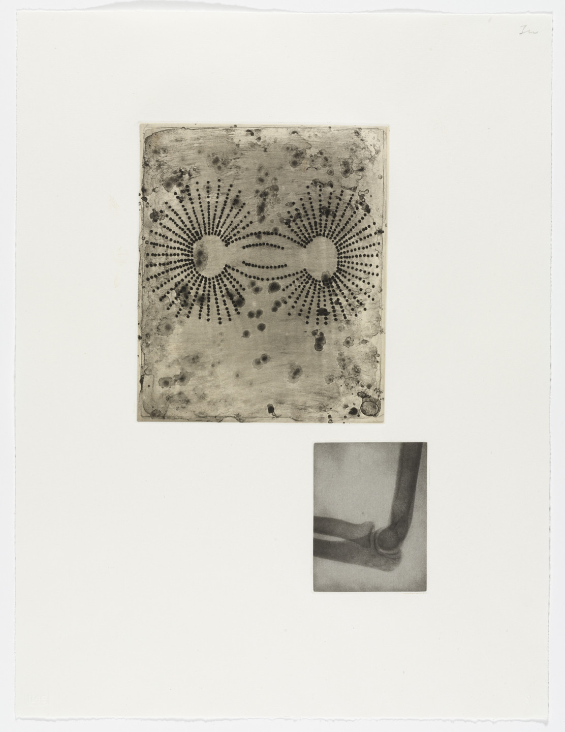 Terry Winters. Fourteen Etchings 9. 1989