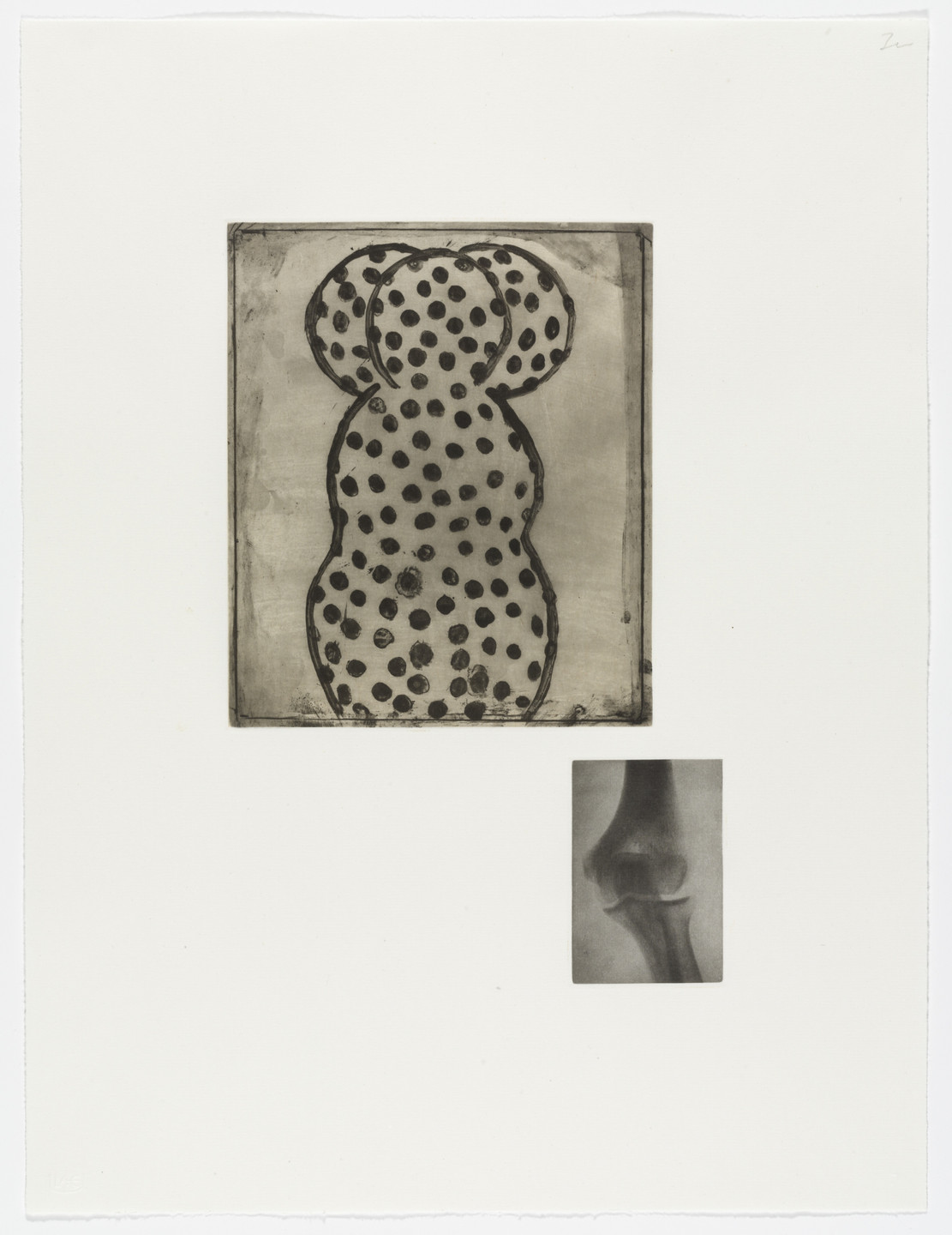 Terry Winters. Fourteen Etchings 7. 1989