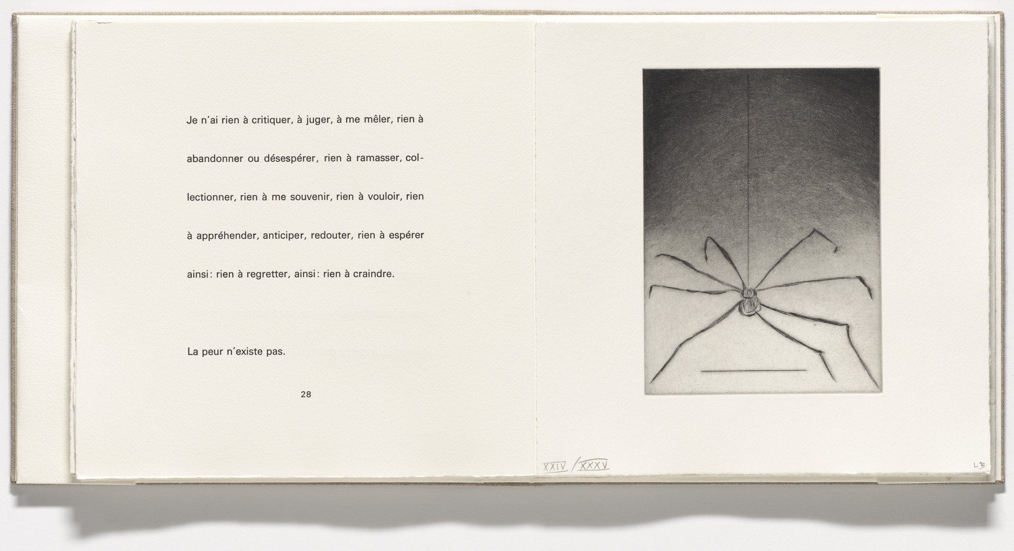 Louise Bourgeois. Untitled, plate 5 of 9, from the illustrated book, Ode à Ma Mère