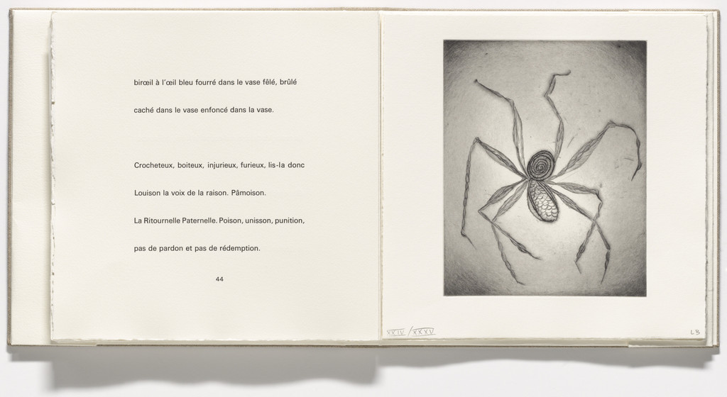 Spider