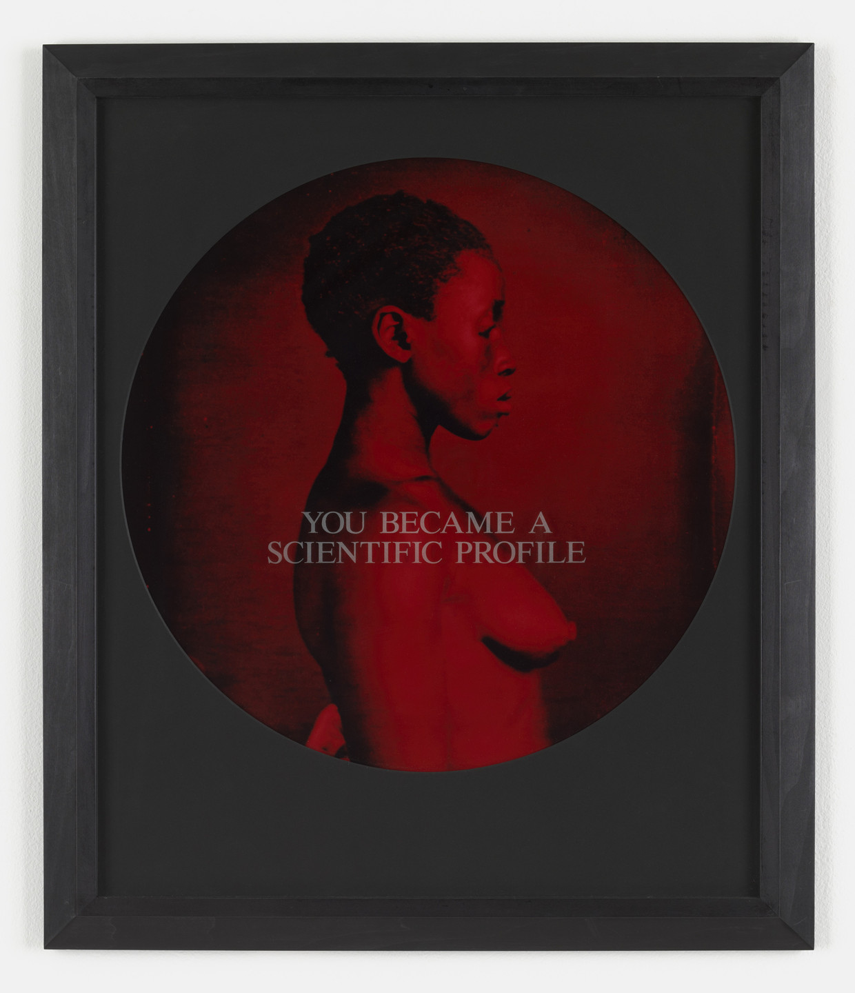 Carrie Mae Weems. You Became a Scientific Profile. 1995-96