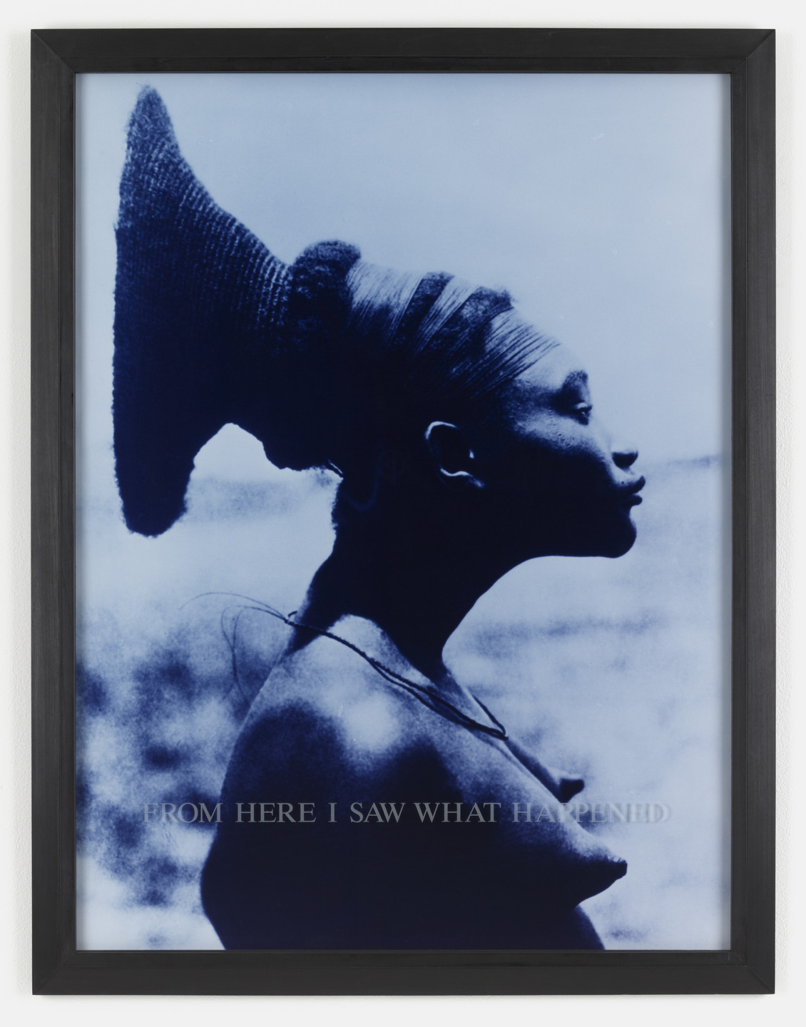 Carrie Mae Weems. From Here I Saw What Happened. 1995-96