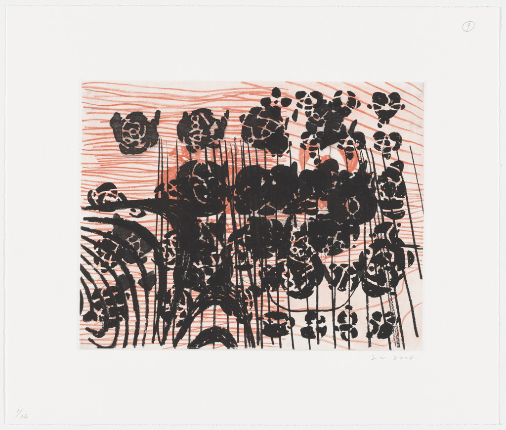 Untitled from Secret Knots