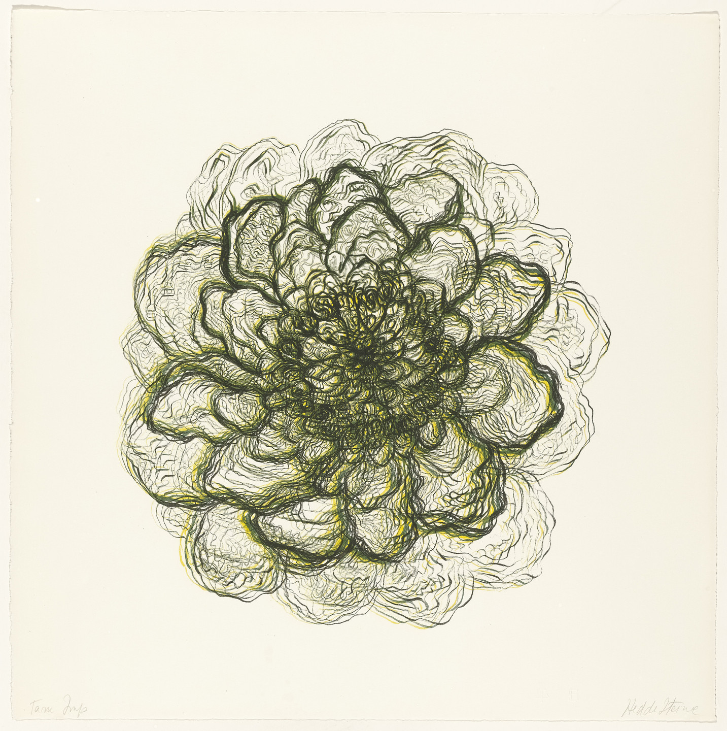 Hedda Sterne. Untitled from Metaphores and Metamorphoses. 1967