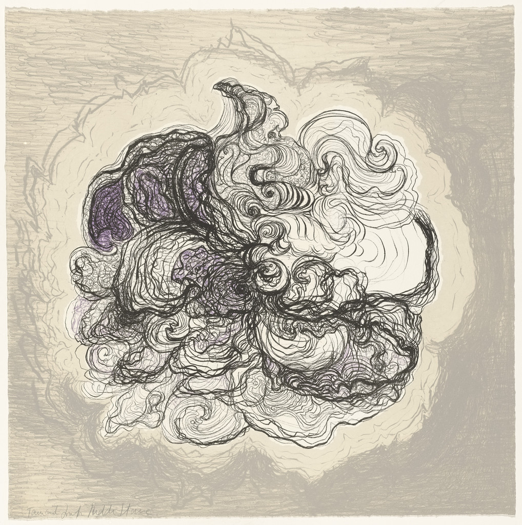 Untitled from Metaphores and Metamorphoses