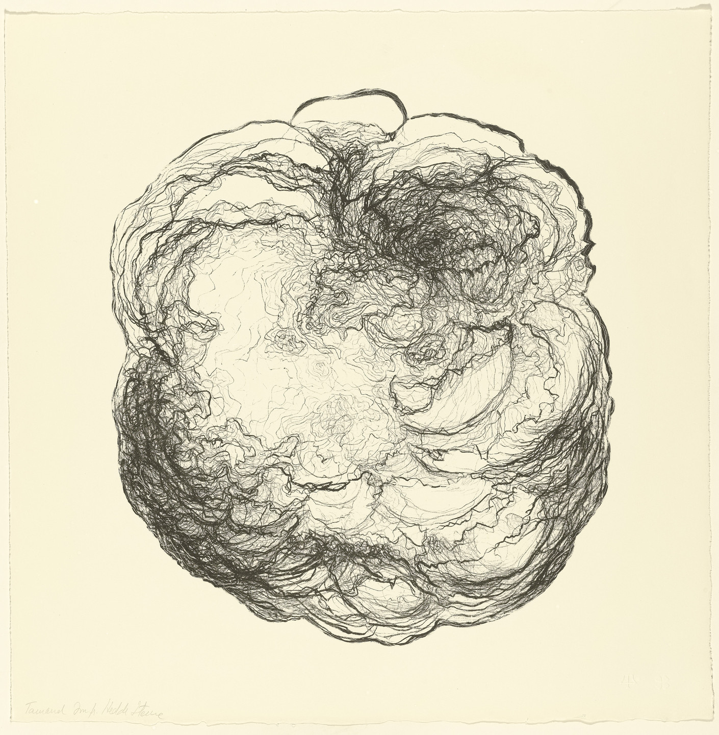 Hedda Sterne. Untitled from Metaphores and Metamorphoses