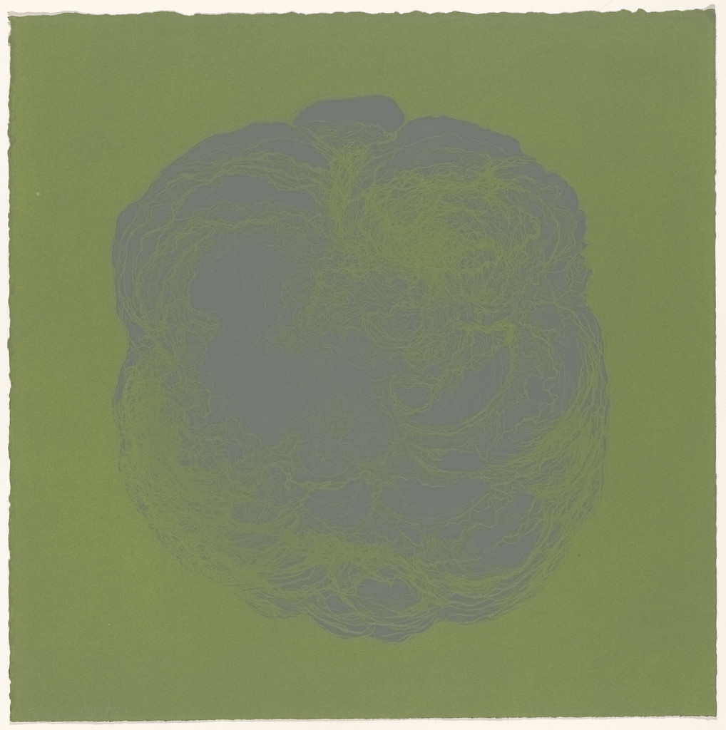 Untitled from Metaphores and Metamorphoses Metaphores and Metamorphoses V