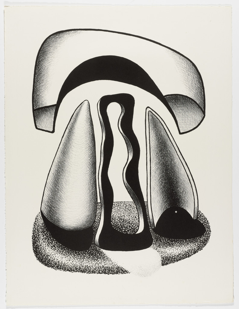 Coronation of Forms (Le couronnement des formes) from the portfolio Living Forms (Les formes vivantes)