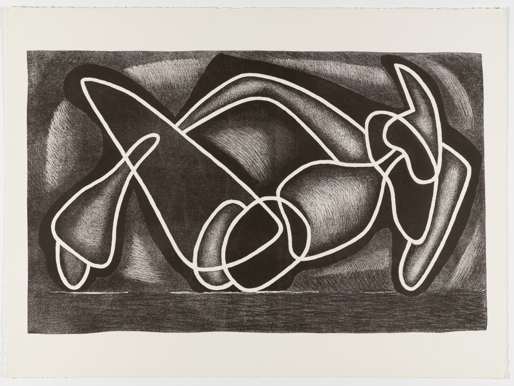 Encircled Forms (Les formes encerclées) from the portfolio Living Forms (Les formes vivantes)